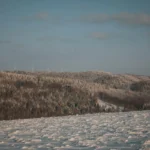 Five Books on Climate Change That Do Not Read Like Climate-Change Books
